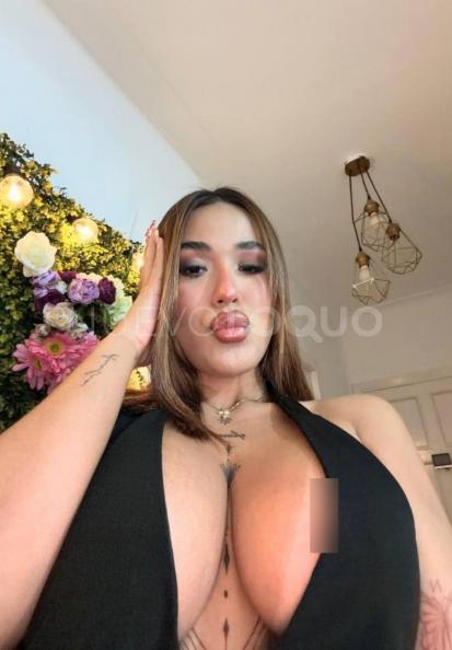 NuevoLoquo3