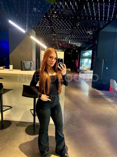 NuevoLoquo2