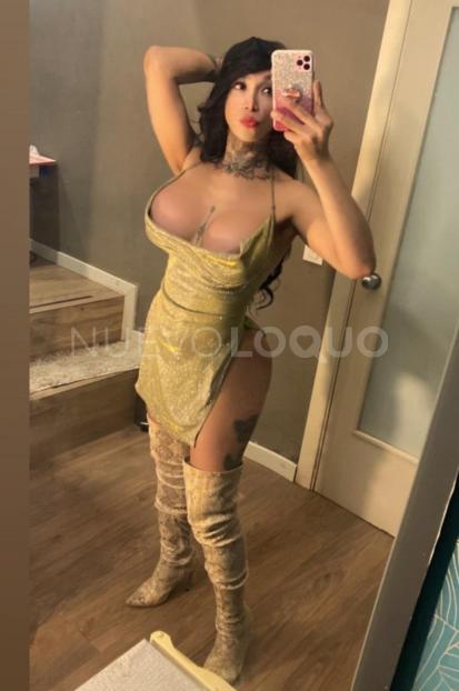 NuevoLoquo2