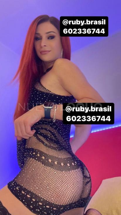 NuevoLoquo4