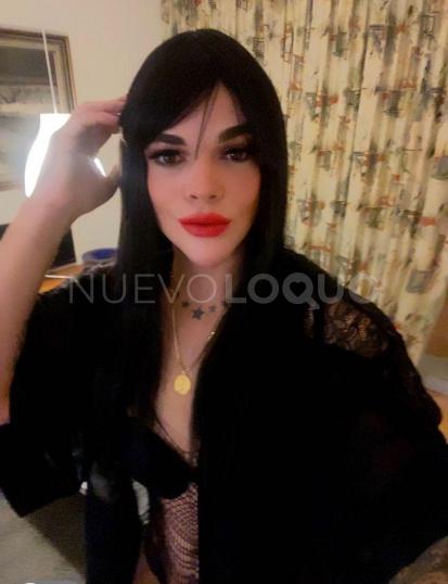 NuevoLoquo3