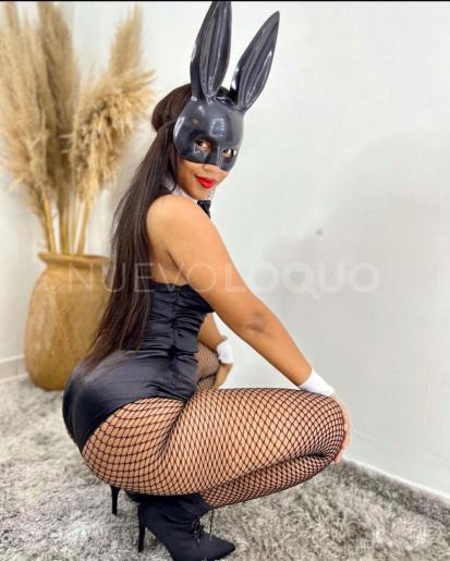 NuevoLoquo2