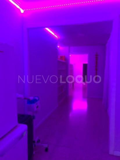 NuevoLoquo3