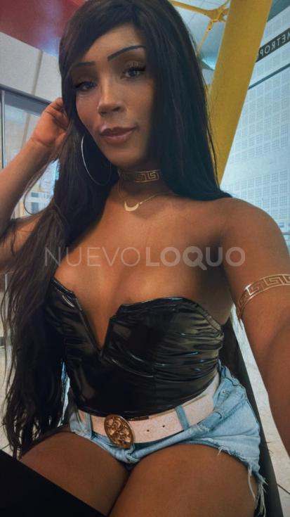 NuevoLoquo5