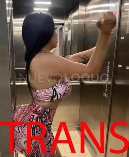 NuevoLoquo5