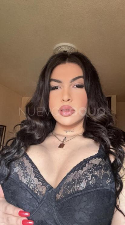 NuevoLoquo3