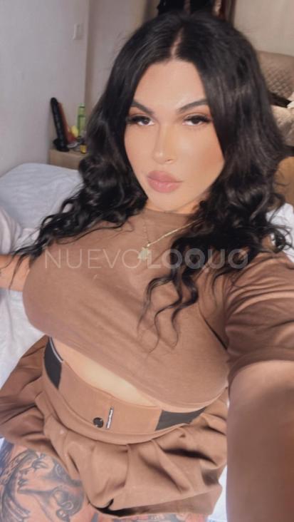  Britany novedad Trans colombiana