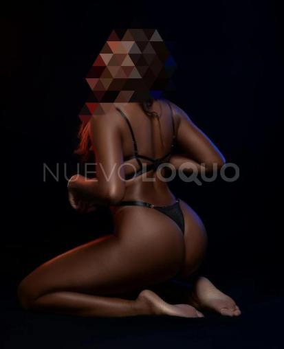 NuevoLoquo5