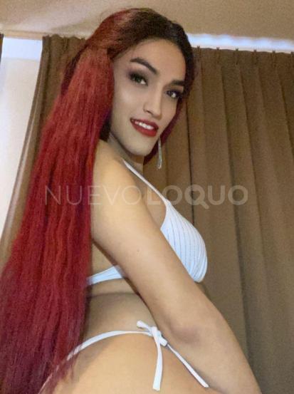 NuevoLoquo1