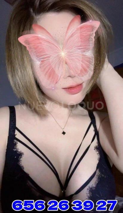 NuevoLoquo3