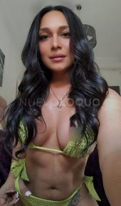 TRANS latina