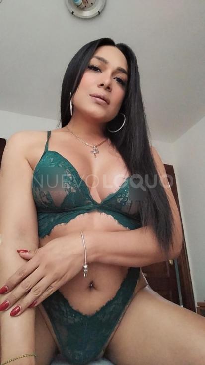 NuevoLoquo3