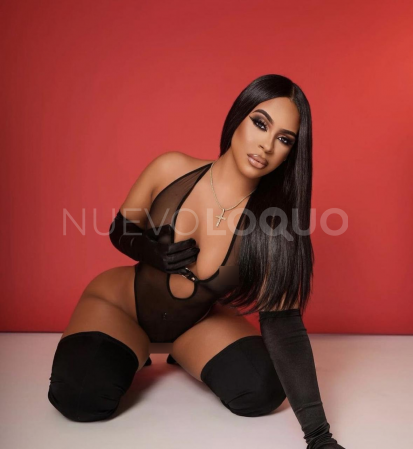 NuevoLoquo4