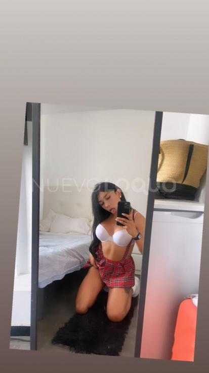 NuevoLoquo2