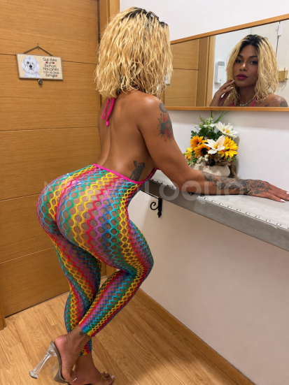 NuevoLoquo1