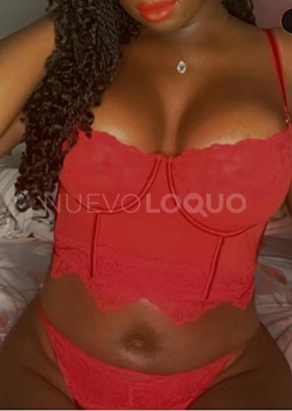 NuevoLoquo2
