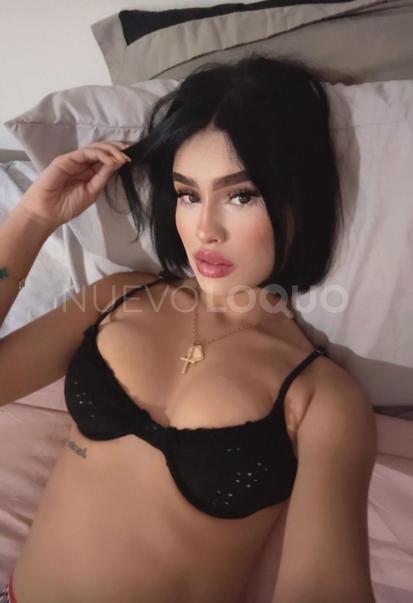 NuevoLoquo3
