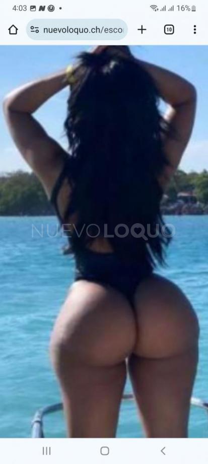 NuevoLoquo3