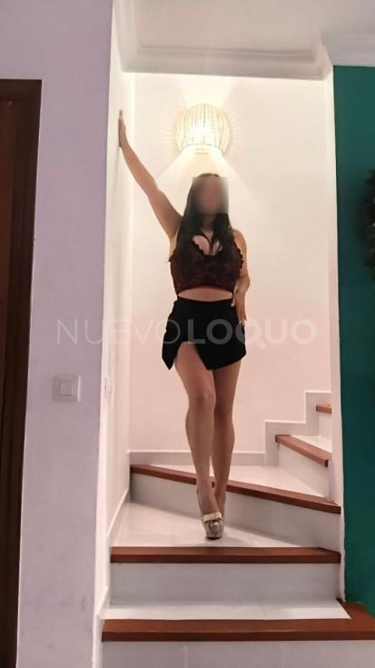 NuevoLoquo3
