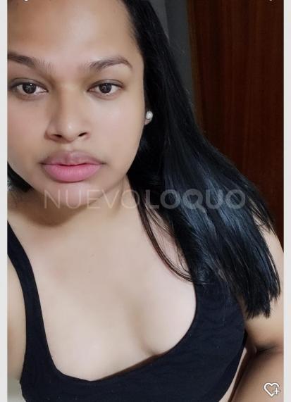 NuevoLoquo4