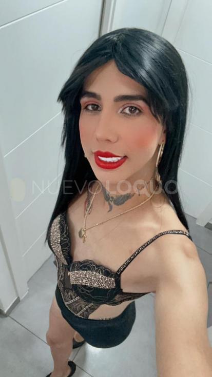 NuevoLoquo2