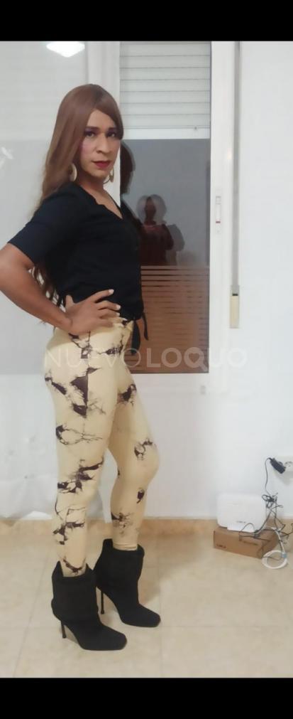 NuevoLoquo3