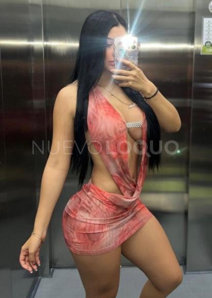 NuevoLoquo3
