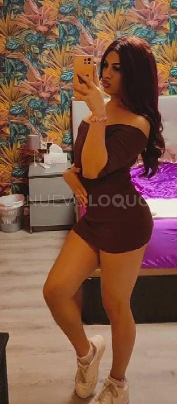 NuevoLoquo0