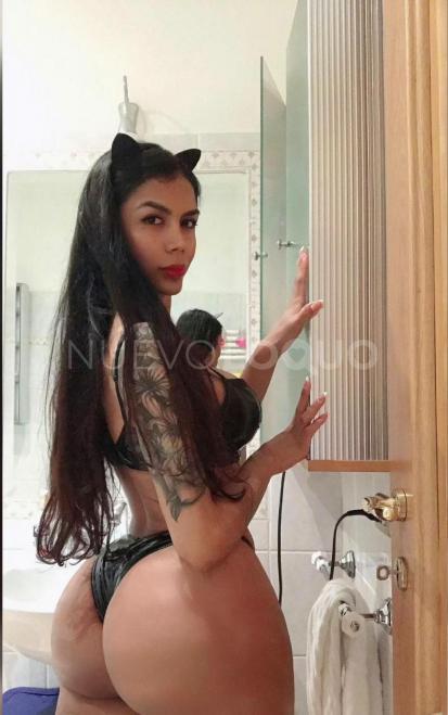 NuevoLoquo2