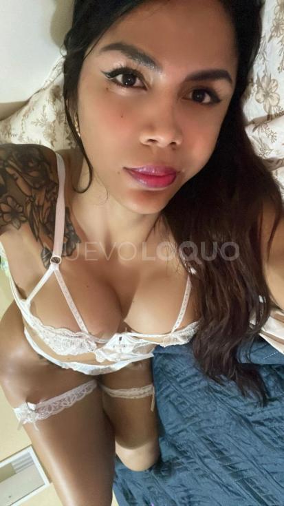 NuevoLoquo3