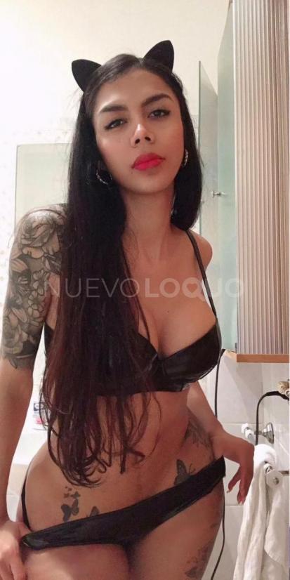 NuevoLoquo5