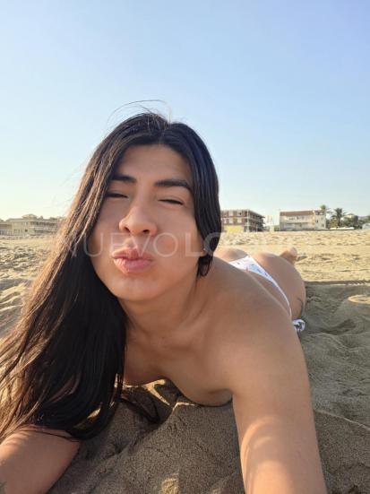 NuevoLoquo3