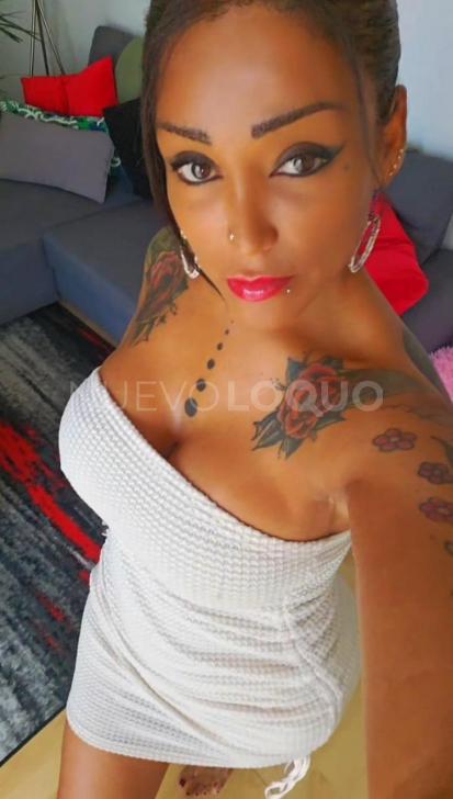 NuevoLoquo2