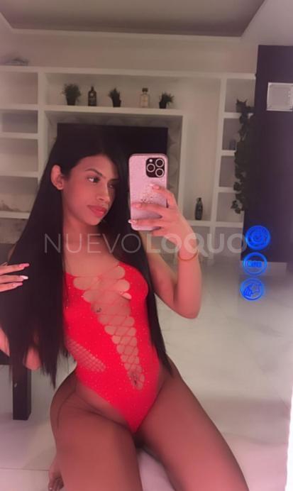 NuevoLoquo5