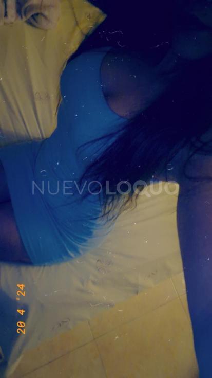 NuevoLoquo3