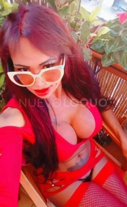 NuevoLoquo0