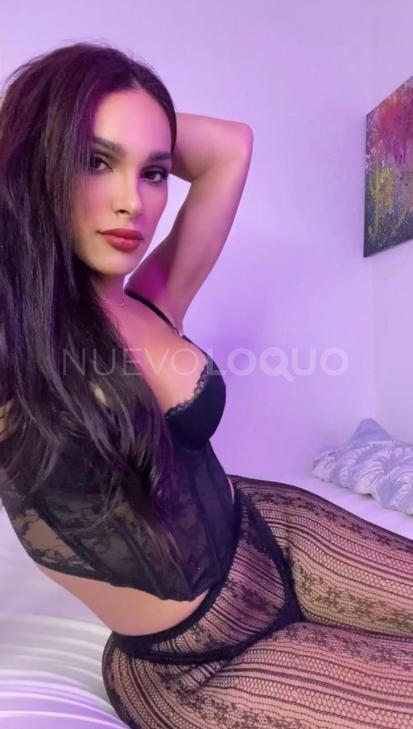 NuevoLoquo3