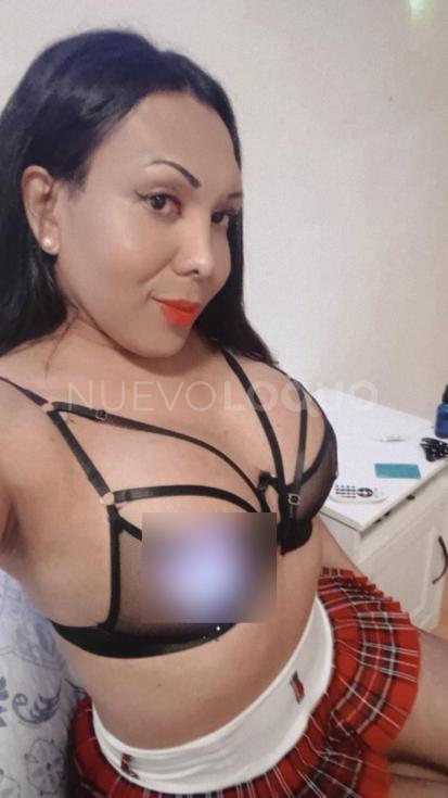 contactos pasion