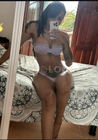 NuevoLoquo3