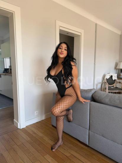  Novedad