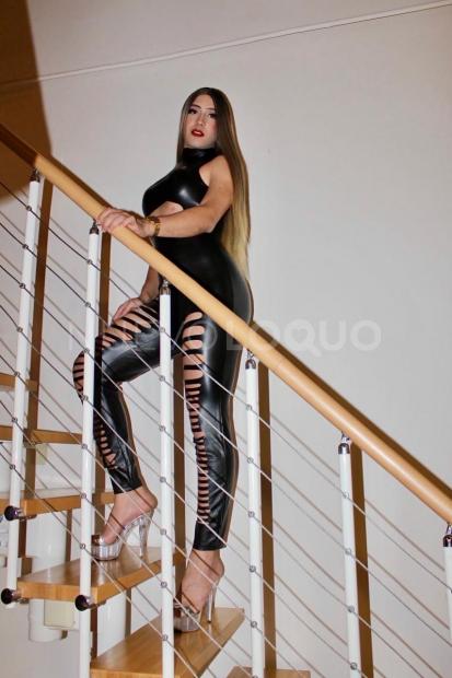 NuevoLoquo0