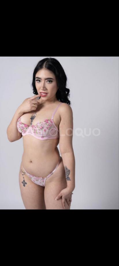 NuevoLoquo2