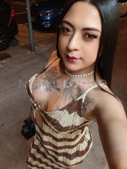 NuevoLoquo0