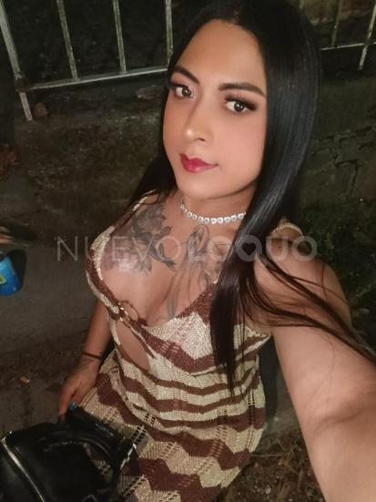 NuevoLoquo5