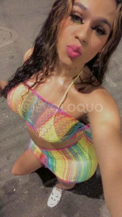 NuevoLoquo2