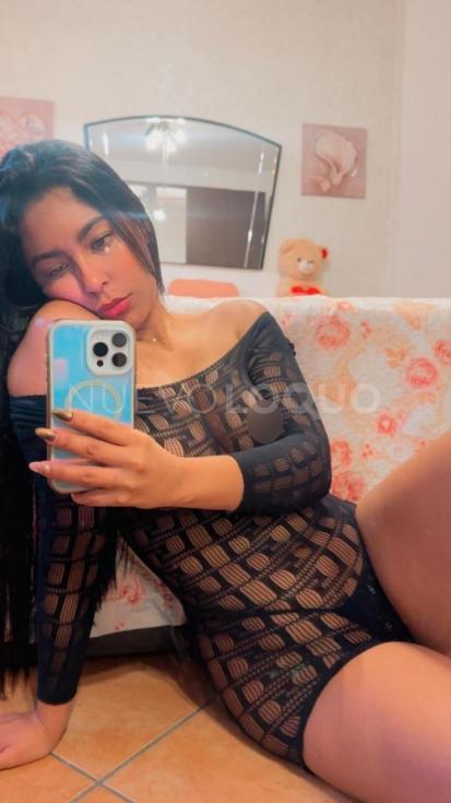 NuevoLoquo2
