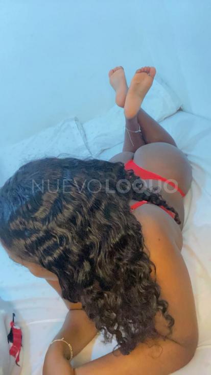 NuevoLoquo3