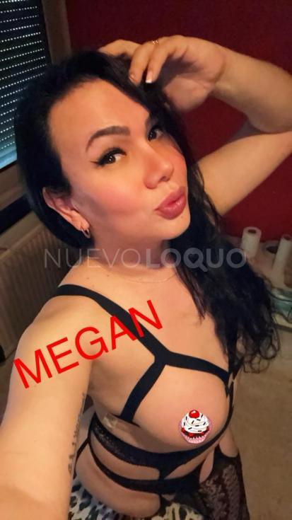 NuevoLoquo2