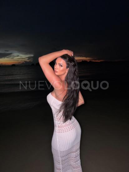 NuevoLoquo2