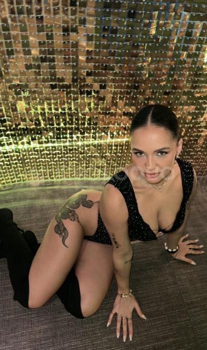 NuevoLoquo3
